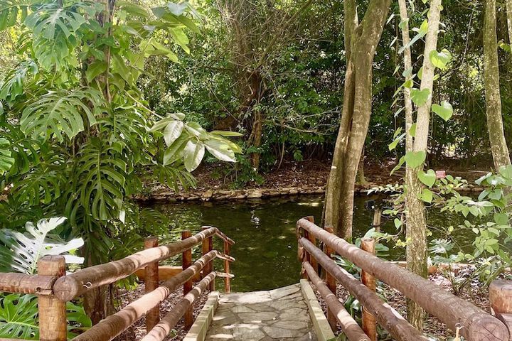 Hot springs