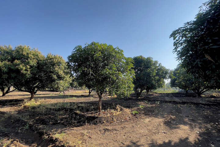 Property Grounds 16 of 19