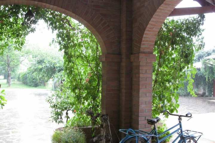 Terrace/Patio 56 of 60