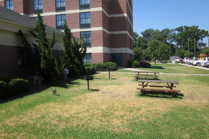 BBQ/picnic area