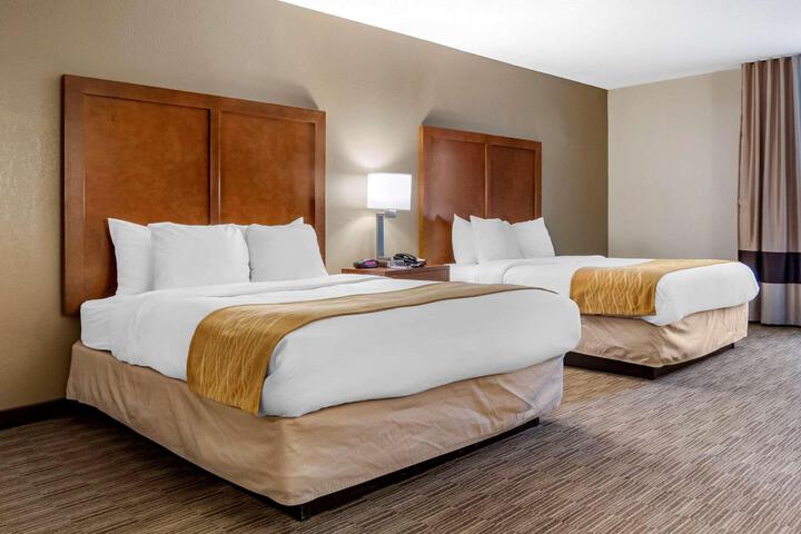 2 Queen Beds (8 of 11)