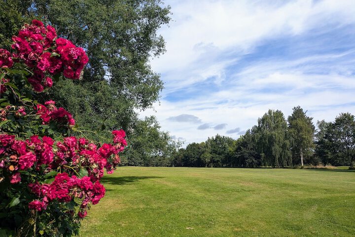 Golf 13 of 31