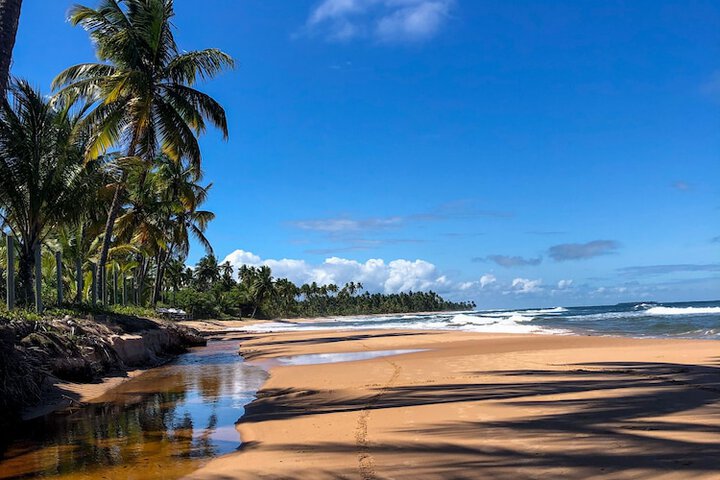 Beach 58 of 82