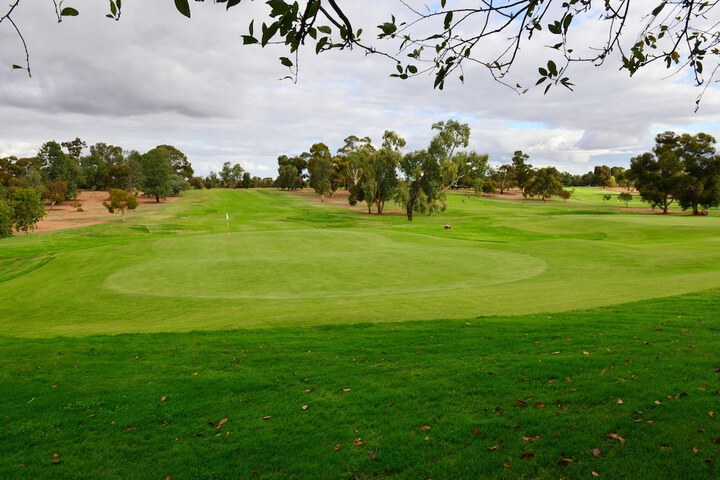 Golf 25 of 50