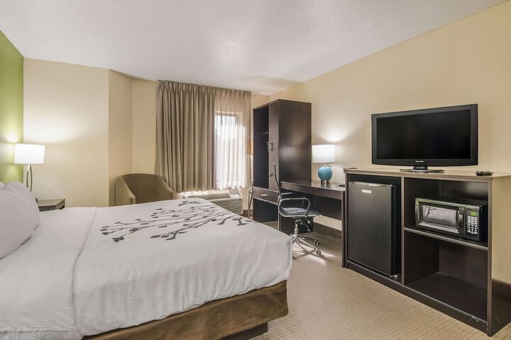Standard | King Bed (5 of 8)