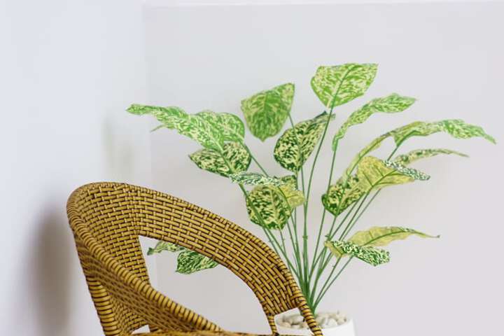 Hotel 11 of 12