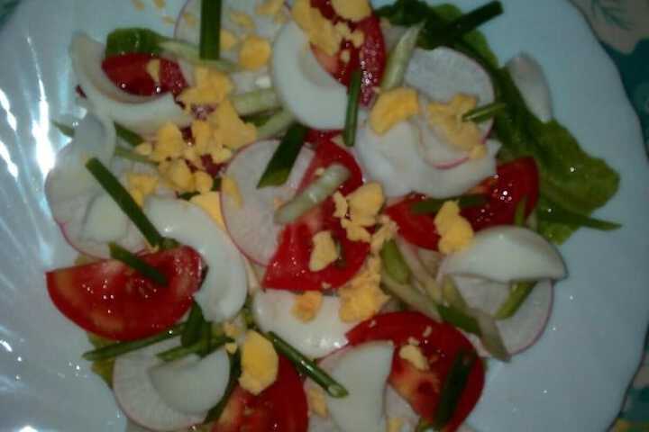 Dining 39 of 58