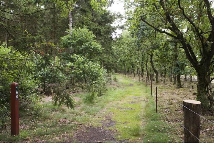 Property Grounds 31 of 37