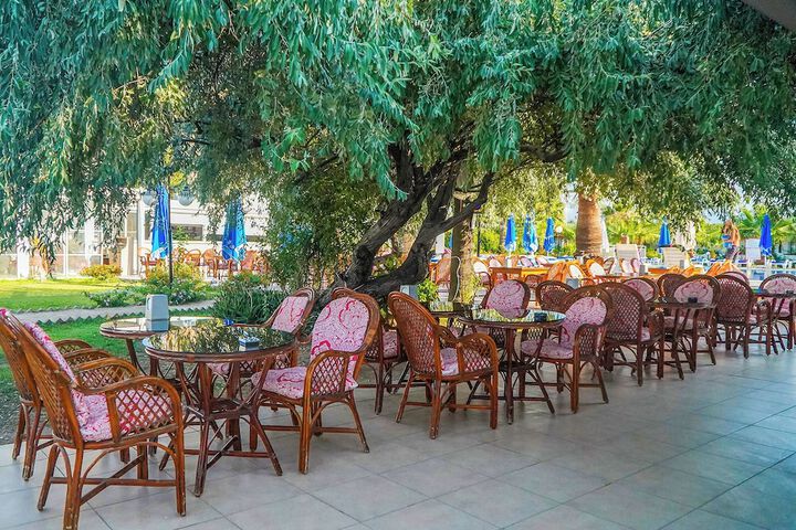 Dining Photos