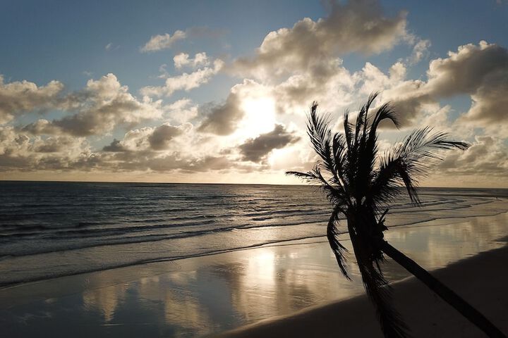 Beach 56 of 63