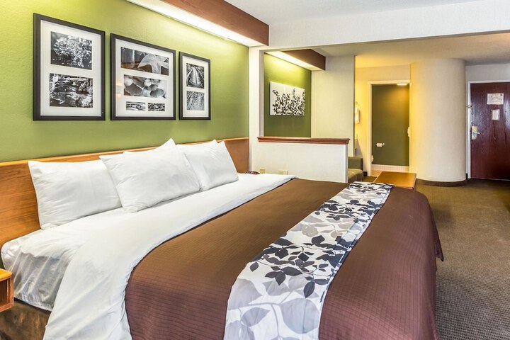 1 King Bed (2 of 15)