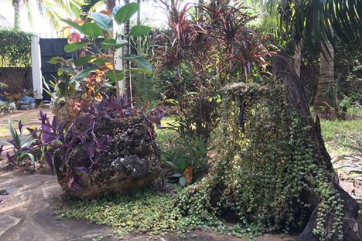 Property Grounds 28 of 29