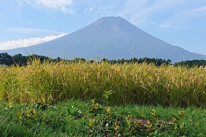 Hotel Bell Kaneyama Fujisan Resort & Business