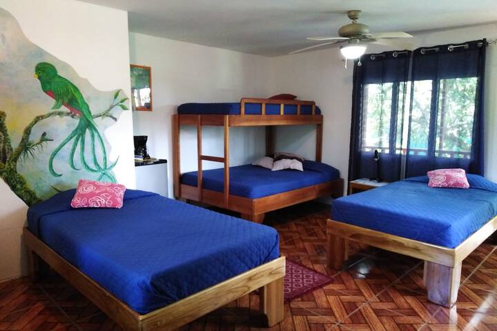 Room 5 of 59
