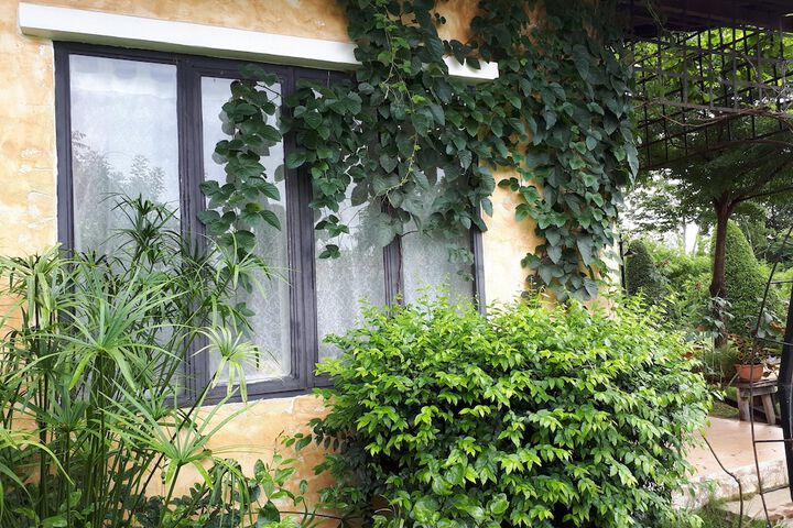 Terrace/Patio 11 of 29