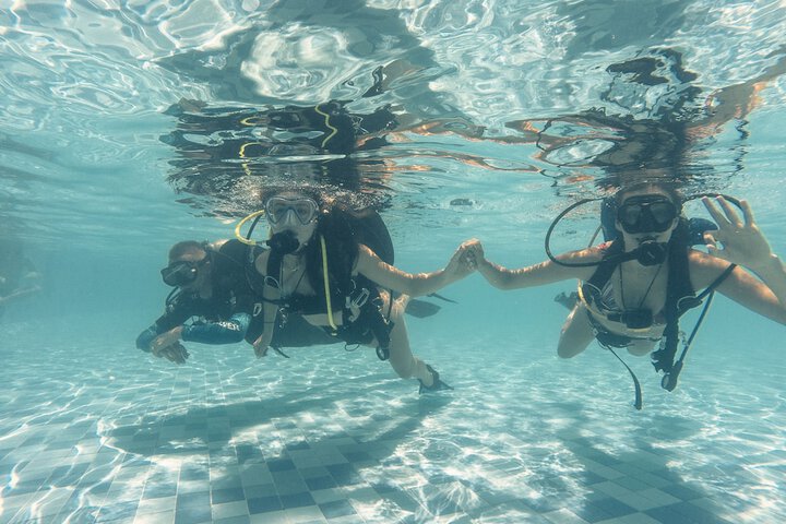 Pool 101 of 149