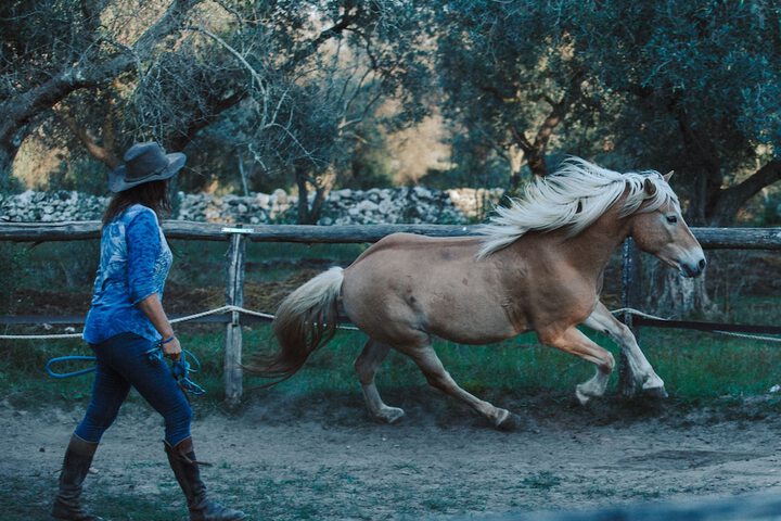 General 77 of 136