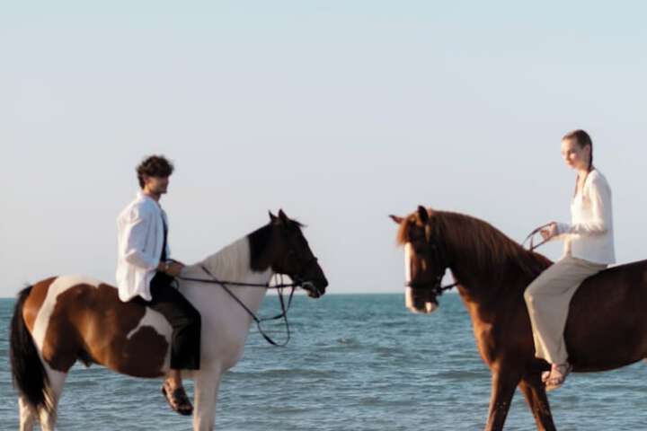 Horseback riding