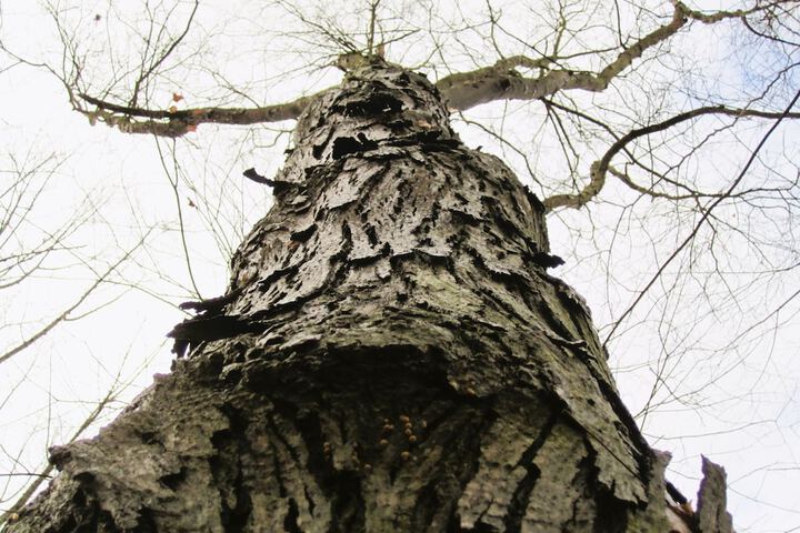 Outdoor Activities 295 of 345