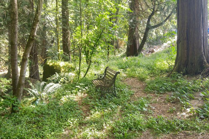 Property Grounds 17 of 24