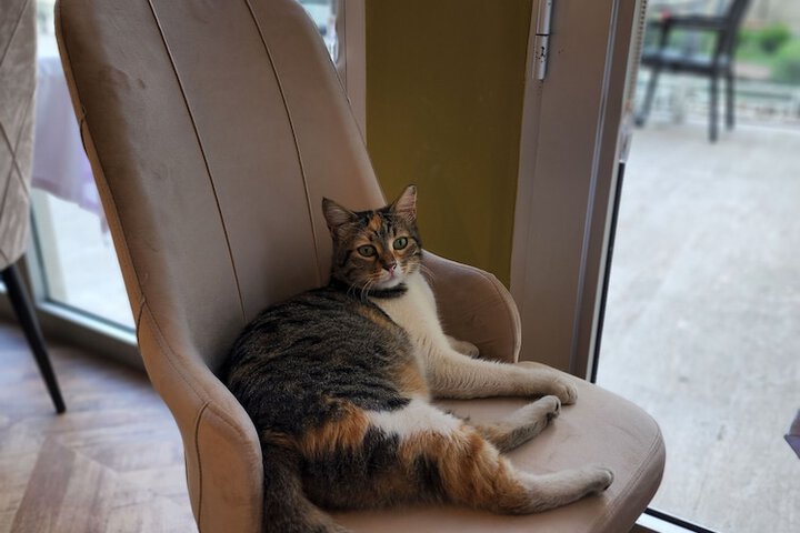 Pet Friendly 100 of 122