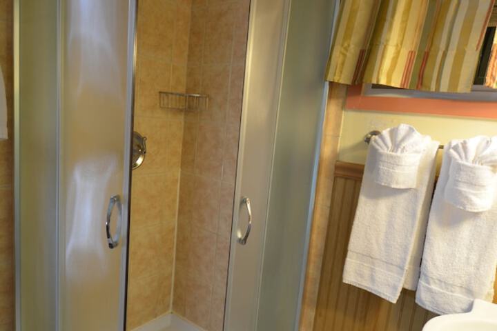Bathroom shower