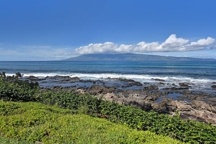 Napili Shores C116 Condo in Lahaina, HI