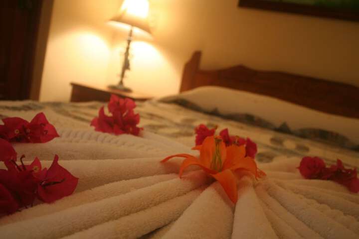 Wellness Treatments