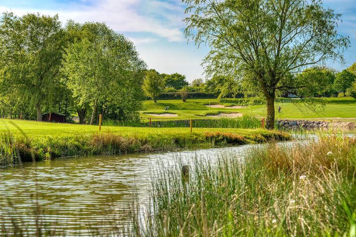 Golf 34 of 54