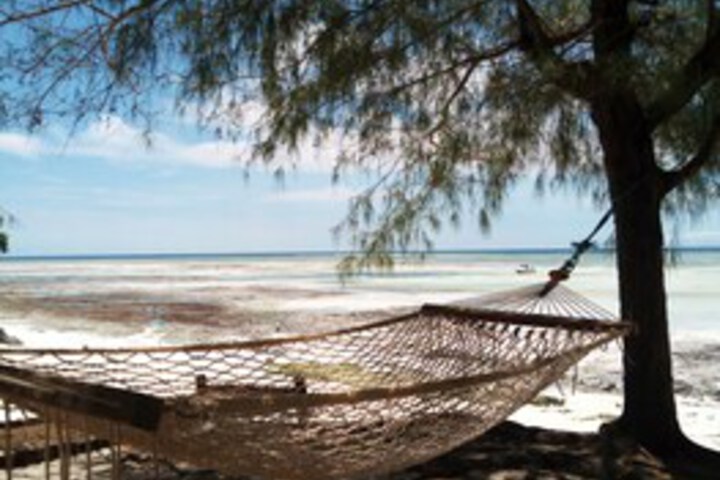 Beach 8 of 18