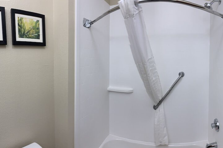 1 King Bed Suite (7 of 15)