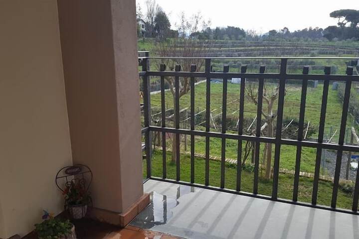 Terrace/Patio 160 of 161