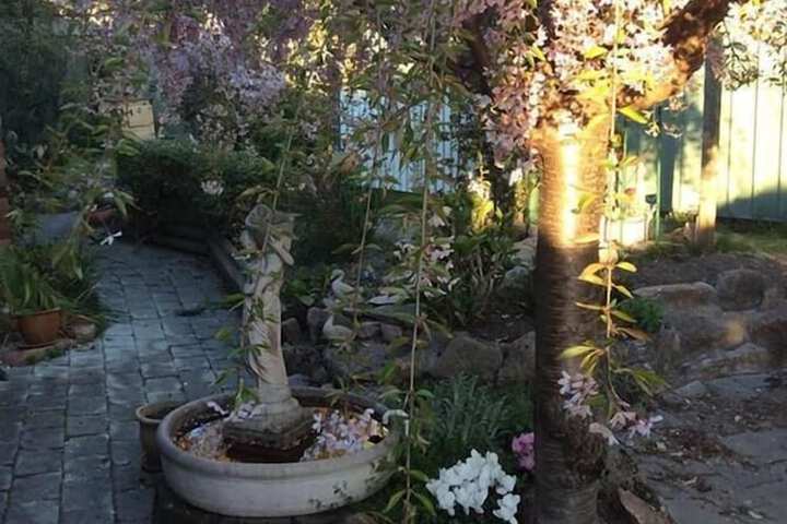 Property Grounds 16 of 18