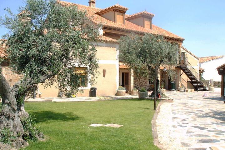 Photo 11