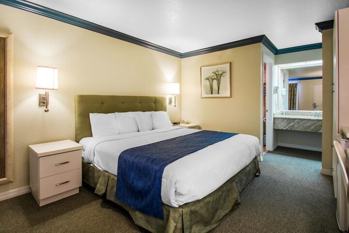 1 King Bed Accessible (5 of 11)