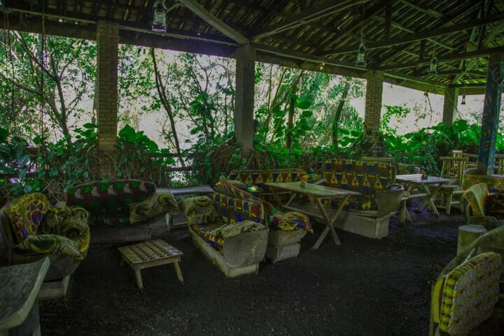 Dining 6 of 14