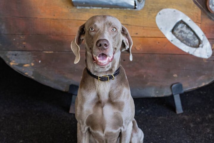 Electric vehicle charging station