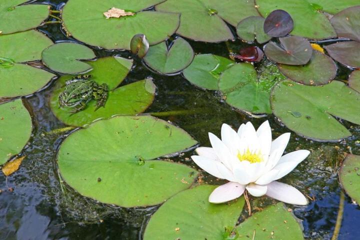 General 28 of 100