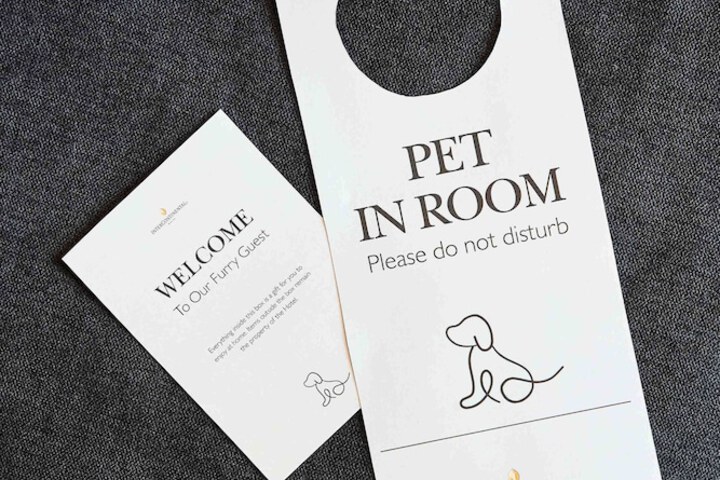 Pet Friendly 166 of 267
