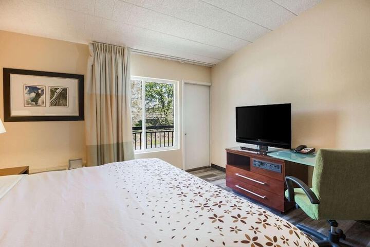 1 King Bed (6 of 12)