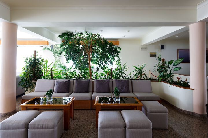 Lounge 24 of 31