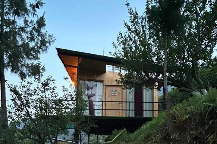 The Woodnest