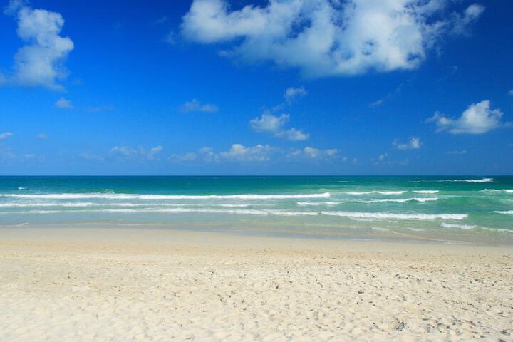 Beach 68 of 71