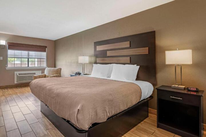 Standard | King Bed (8 of 21)
