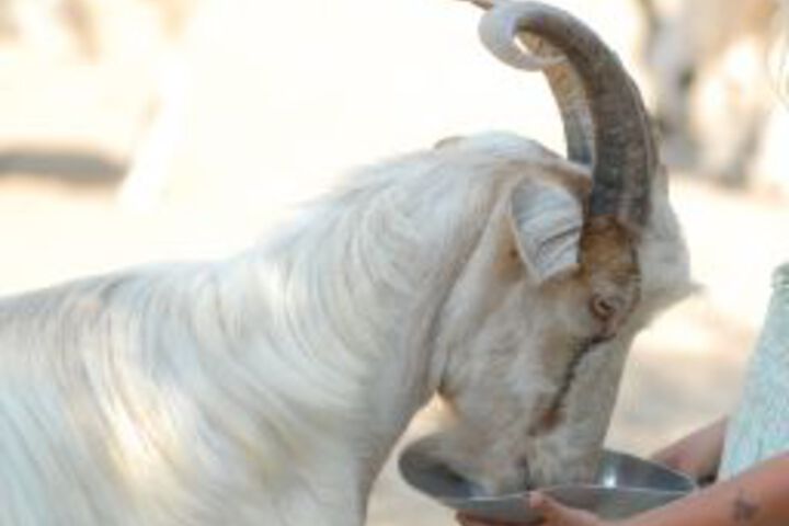 General 32 of 42