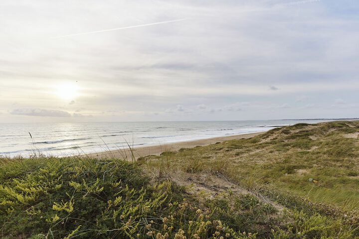 Beach 10 of 14
