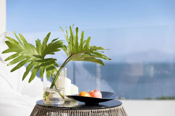 Terrace/Patio 208 of 288