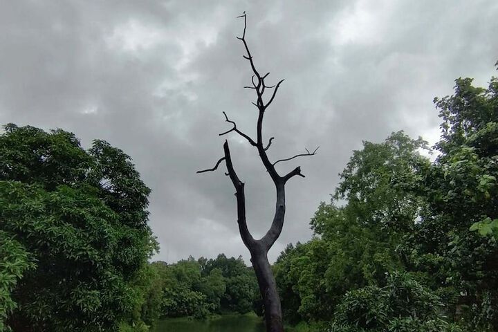 Hotel 51 of 64