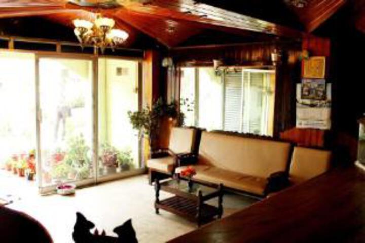 Hotel Saliha International