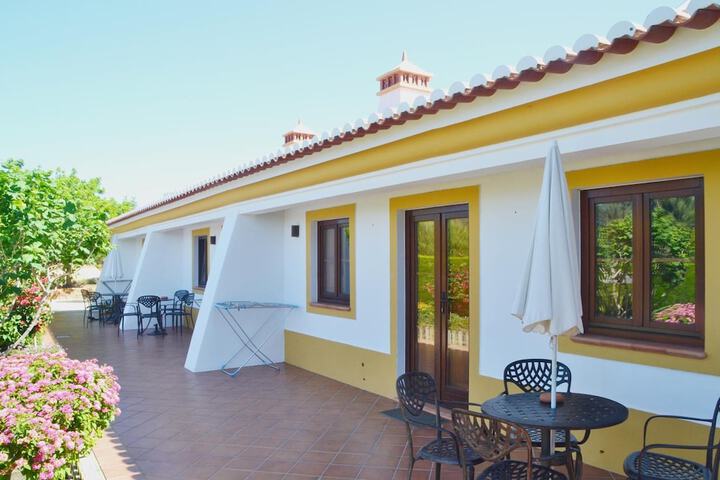 Terrace/Patio 13 of 45